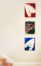 Load image into Gallery viewer, 0212