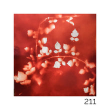 Load image into Gallery viewer, 0211