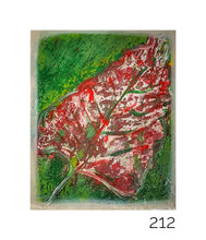 Load image into Gallery viewer, 0212