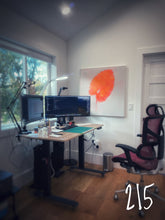 Load image into Gallery viewer, 0215