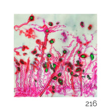 Load image into Gallery viewer, 0216