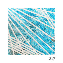 Load image into Gallery viewer, 0217