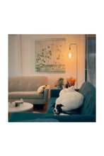 Load image into Gallery viewer, 0218