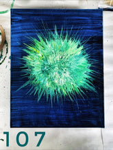 Load image into Gallery viewer, 0107