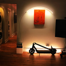 Load image into Gallery viewer, 0166